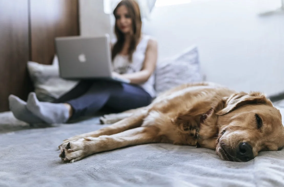 smart bed features